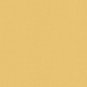Unicolour Ash